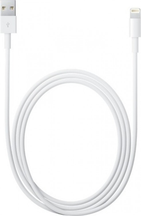 Καλώδιο Σύνδεσης Apple Lightining-USB 1m MD818ZM/A (Bulk)