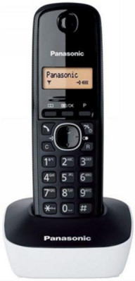Cordless Phone Panasonic KX-TG1611GRW White