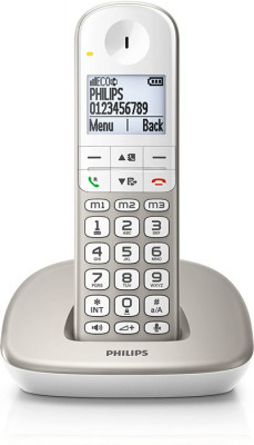 Τηλέφωνο Ασύρματο Philips XL4901S/GRS